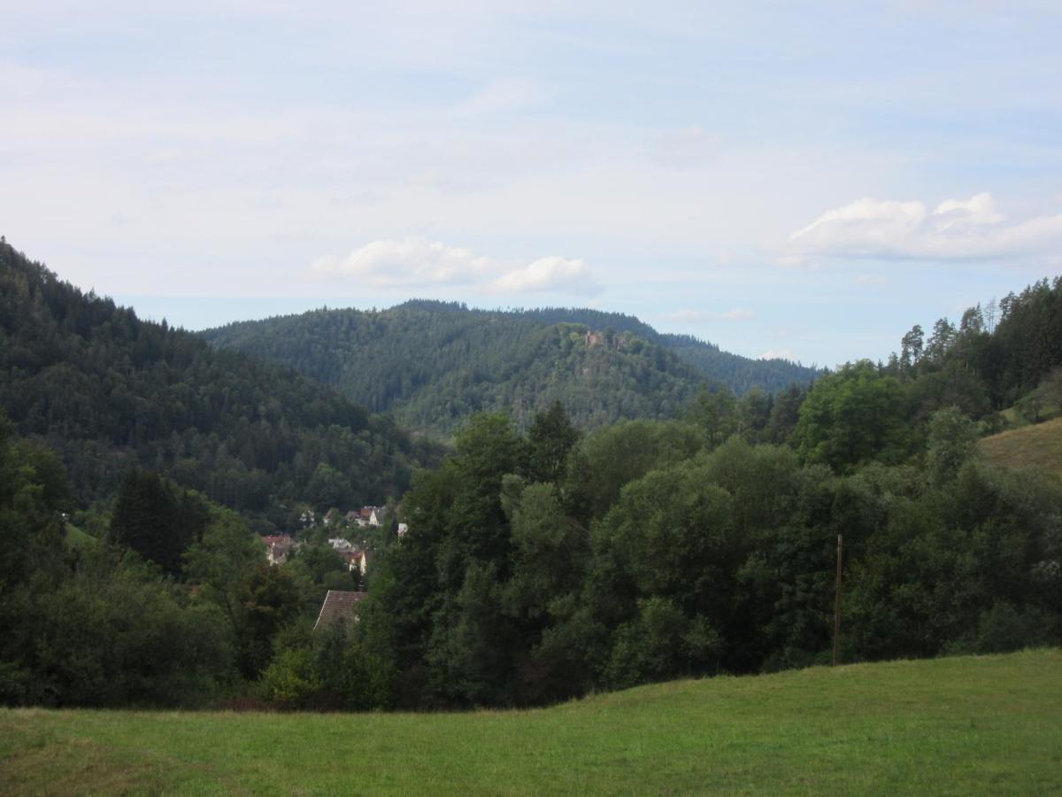 Ferienwohnungen Schwabenhof 施拉姆贝格 外观 照片