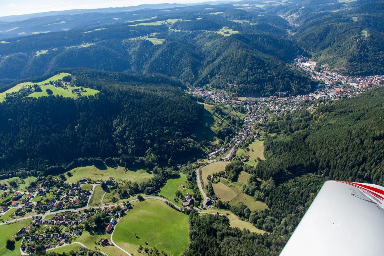 Ferienwohnungen Schwabenhof 施拉姆贝格 外观 照片