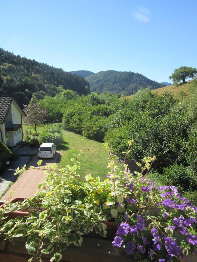Ferienwohnungen Schwabenhof 施拉姆贝格 外观 照片